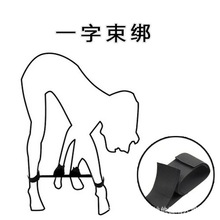 ��Ȥ���DSM�{����Ȥ�����������`���_���Ʒ����{����߳�������Ʒ