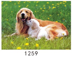 Student Intelligence Puzzle 1000 Pieces Adult Stress Relief Dogs and Cats Horses Rushing Across Borders Animal