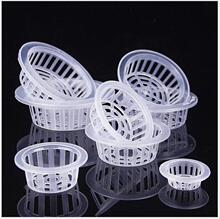 ���軨ƿ��ˮ�ඨֲ�@ ˮ���߲˾W���o������Nֲ�{���̸���