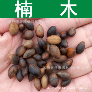 ��ľ�N�� �ľ�N�� �E� ��� ��z�ľ ��骷N�� 1��=1��