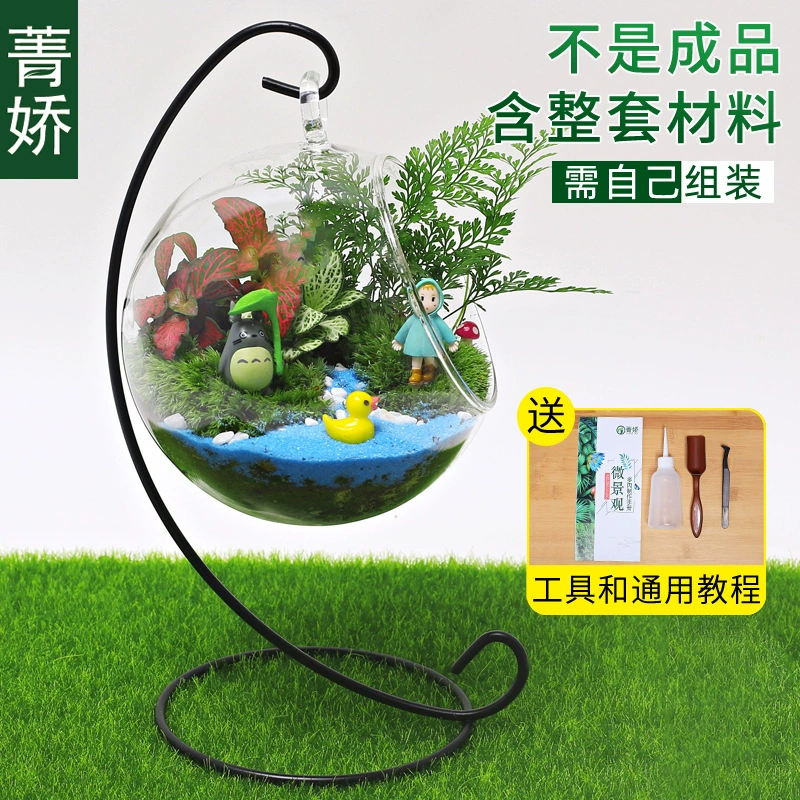 Micro landscape, table glass materials set, DIY, Birthday gift