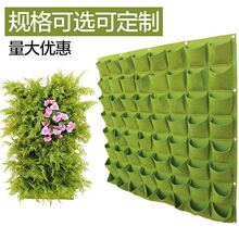 �����ڒ�ʽë��ֲ����Nֲ�����G��ֲ���������@ˇ���o�������L��