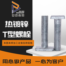 定制高强度四方头螺栓热镀锌方形螺丝各种规格电力t型螺栓
