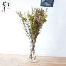 �S��ֱ�N������ɺ�����yɺ����ϱ��r����DIY�������˹��a��؛Դ
