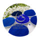 A large number of in stock wholesale Sky Blue pigment printing ink coating iron oxide blue coloring strong easy dispersion dyeing powder