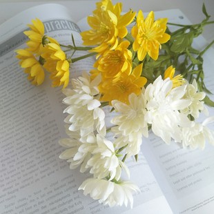 �S����f�۾�Ұ���r�ռҾӘӰ��g ���b�OӋ�҃����b��滨�ٻ�