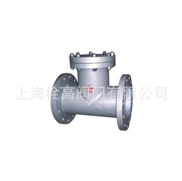 法兰T型过滤器 铸钢直通T型过滤器 SRTIV不锈钢T型过滤器DN15-300