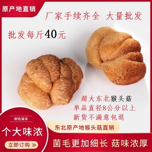 �|���خa���x���^���������^����Ʒ250G500G���]һ�����l