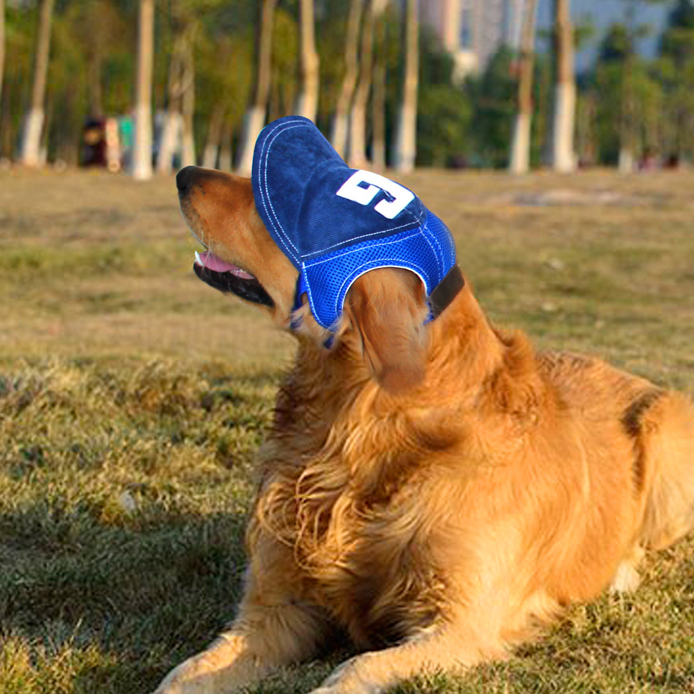 Lindo mascota gorra de pico Golden Retriever Corgi francés Cubo de peluche pequeño mediano y grande gorra de béisbol perro orejas expuestas anti-DDoS