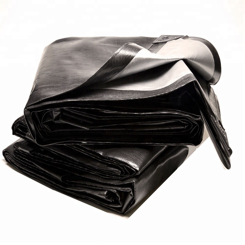 Pp Plastic Weed Control Fabric, Garden Fabric, Weed Suppression Fabric, Anti-Grass Fabric, Sun Protection Anti-Aging Fabric, Tarpaulin, Waterproof Outdoor Fabric