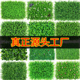 绿植墙仿真植物墙装饰背景花墙面尤加利植物塑料假草坪草皮阳台