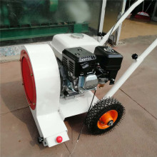汽油式路面吹风机 手推式马路吹风机 路面吹尘吹渣机