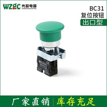 BC31λo_P F~c Ģ^λo ăc