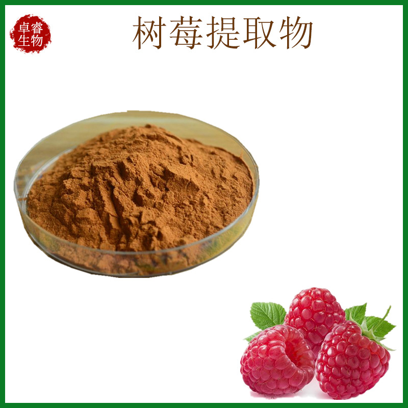 树莓提取物水溶树莓粉覆盆子提取物 10:1 喷雾干燥 厂家现货