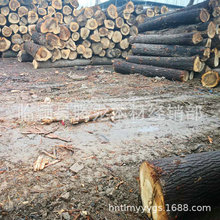 白杨木板材售卖经销河南白杨木烘干板材杨木家具拼板规格家具材料