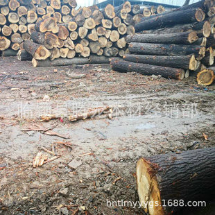 ���ֱ����ľ̼��  �Ҿ�ֱƴ�� �ߙn�Ҿ��b�� �T���� ��z����ľ