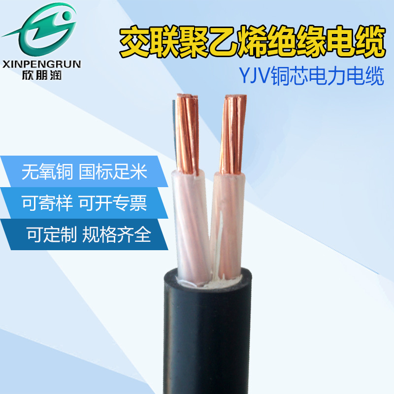 铜芯电力电缆0.6/1KV2芯YJV10/16/25平方交联聚乙烯绝缘铜芯电缆