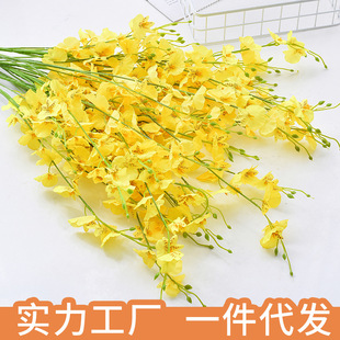 5���Sɫ�����m����ߙn����c�Ҿ��b����ĺ����m�ٻ��� �S�����l