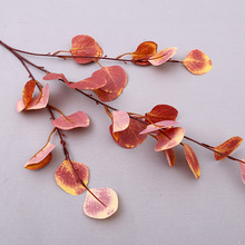 ��c�����Y���b�����û������~���滨�Gֲ�O���ȼ�������