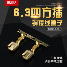 Sl DJ621-6.3B ~Ӿ 6.3ķ ķU