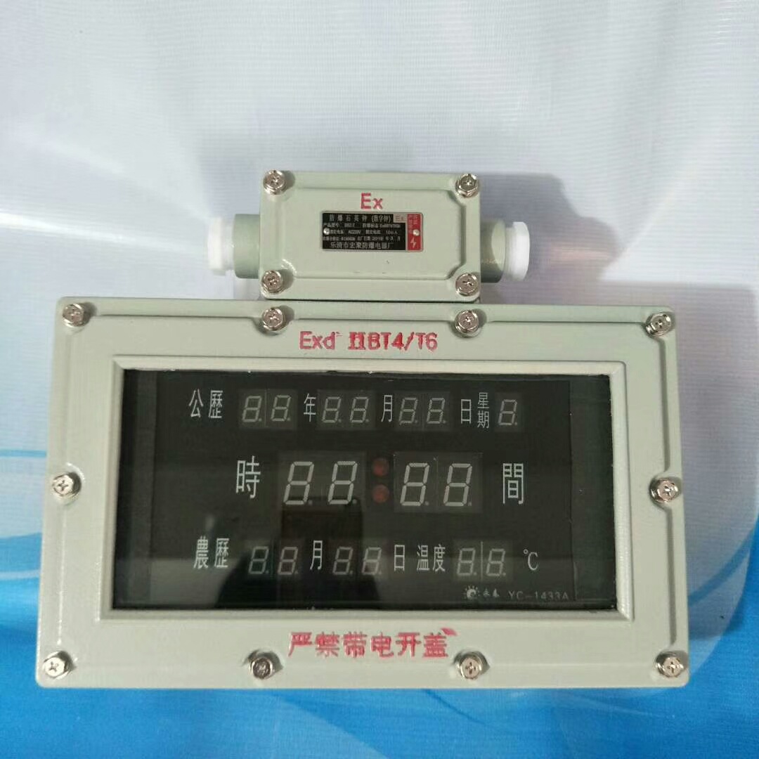 供应壁挂式LED防爆数显时钟  防爆数字显示石英钟带夜光 BSZ2010