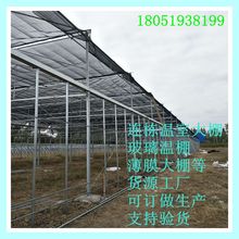 厂家批发福建蔬菜棚贵阳连栋棚 热镀锌简易大棚湖南遮阳大棚钢管