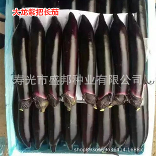 ���������ϰ��L���� �ڎ��L���� ��¶�L��2̖ �޽�������