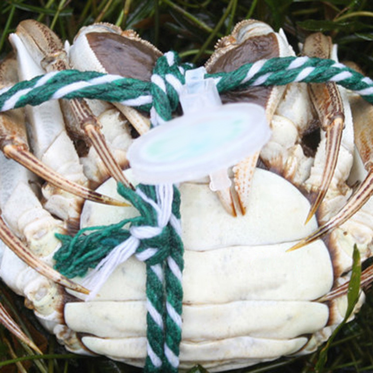 制作数码高科技阳澄湖固城湖太湖盘锦大闸蟹防伪扣防伪标签防伪腰