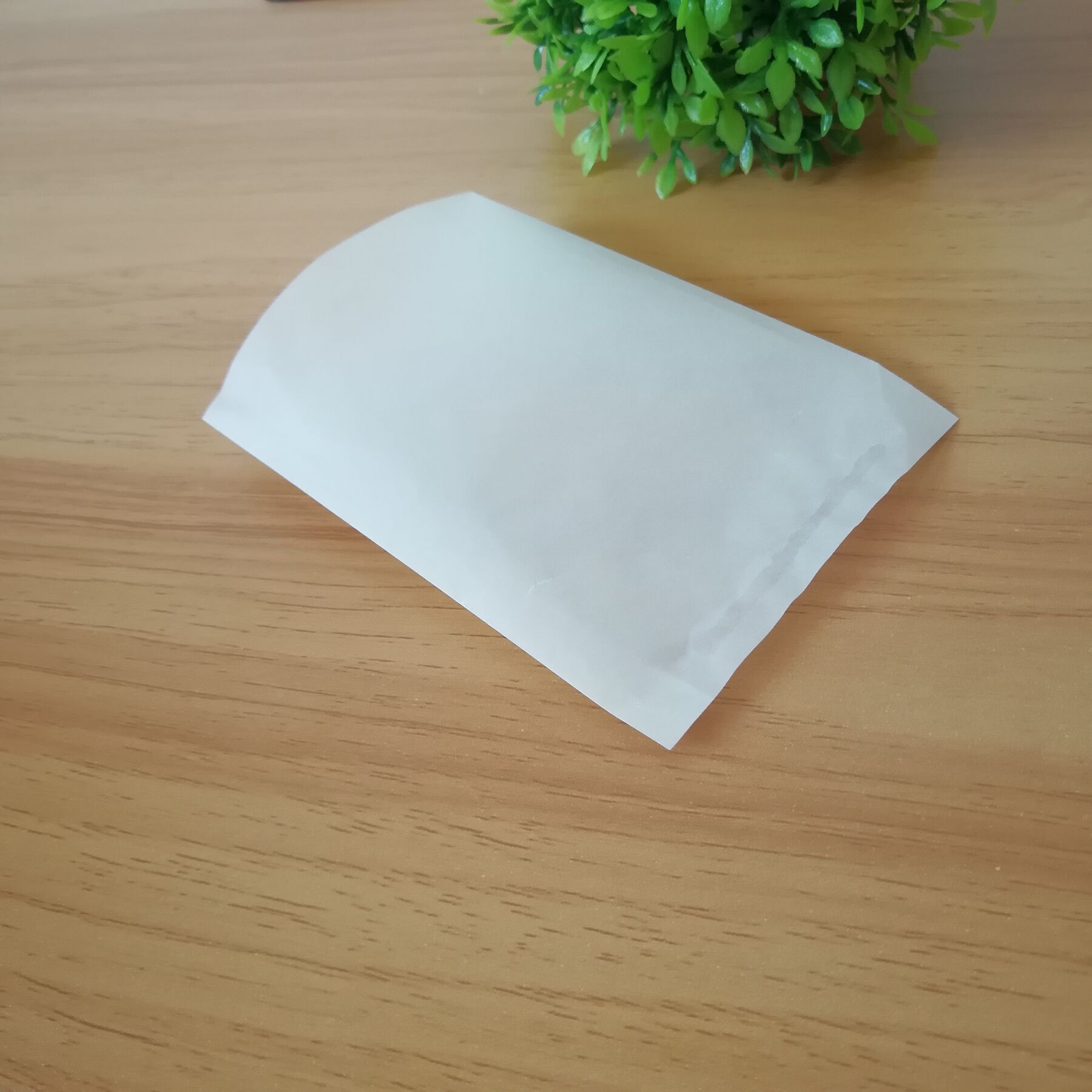 Orchard Agricultural Strawberry Cherry Bagging Special Bird-proof Insect-proof and Rain-proof Bag Fruit Protection Bag