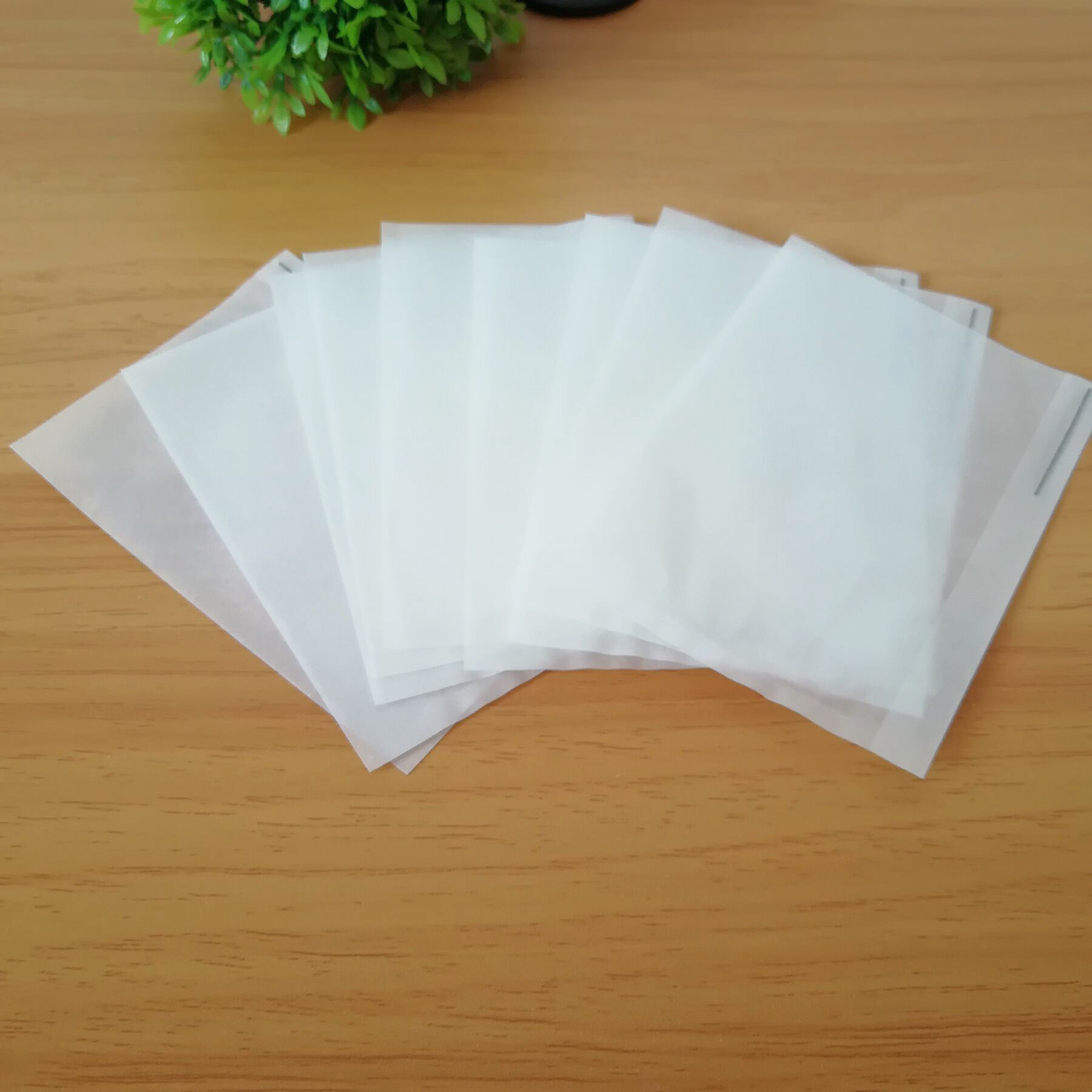 Orchard Agricultural Strawberry Cherry Bagging Special Bird-proof Insect-proof and Rain-proof Bag Fruit Protection Bag