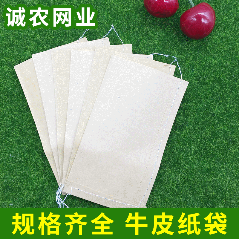 厂家供应牛皮纸袋 烟草种子储存袋 授粉防水袋批发