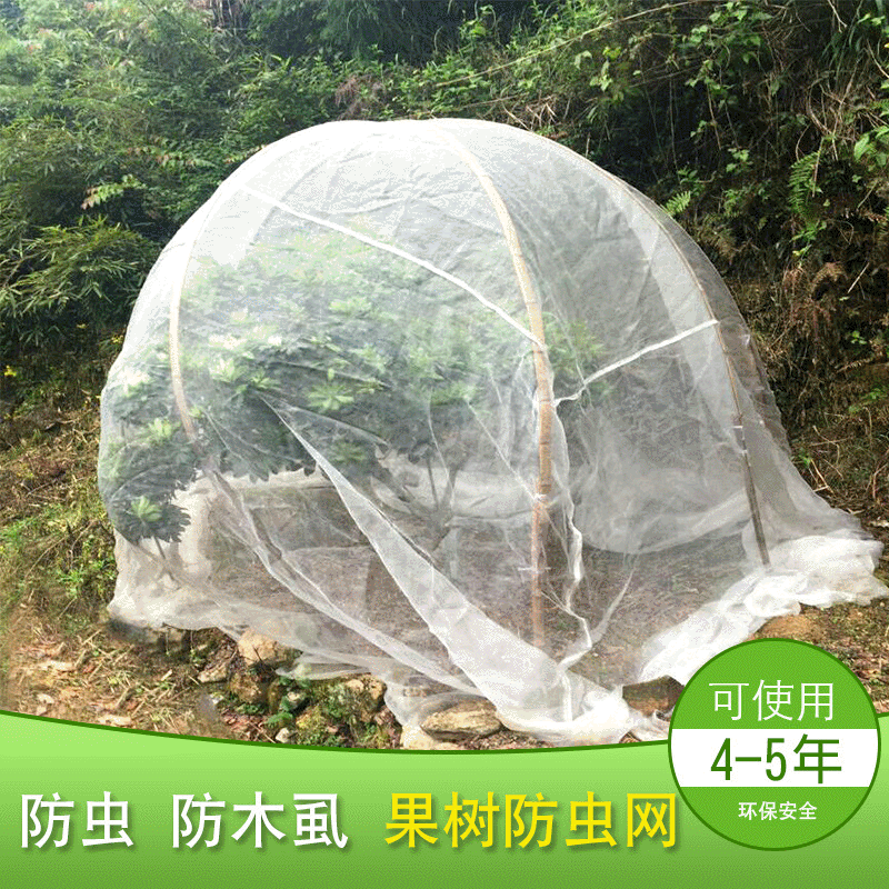 厂家供应防虫网罩杨梅罩果树防虫网罩柑桔防虫网蚊帐式防虫罩