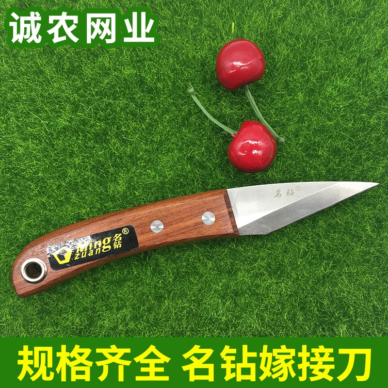 Поставка многоцелевого практичного известного алмазного ножа для прививки нож для рассады разделочный нож для бонсай оптом