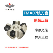 ʯ㊵PFMA07ϵ 45ƫ ㊵