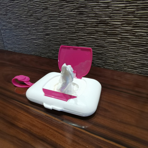 Panda Portable Mouth and Hand Disinfection Tissue Box Tour Guide Souvenirs Baby and Children's House Gifts