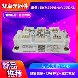 SKM200GAL123DKLD110 SKM200GAL126DKLD110IGBT模块