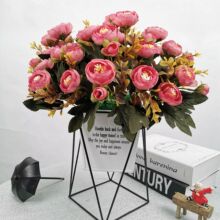 �軨���滨�������õ�����[�Ż�����c�ѻ���������S��ֱ�N�F؛