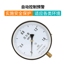 ����Y-200һ�㉺����0-1.6MPa�y���x�����I���b��ͨ������