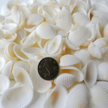 ����Ȼ��ؐ�����ݰ�Ҭ��ؐ �~���쾰�b�ؐ���ֹ�diy����250��