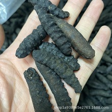 ��������С���Ʋ� ���Ʋκڴ̲� ��ȻҰ�����ɺ��θɻ�