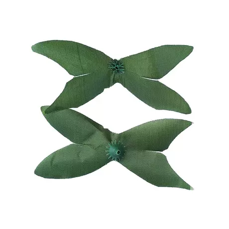 Common 4 leaves
