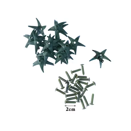 Star Torus
