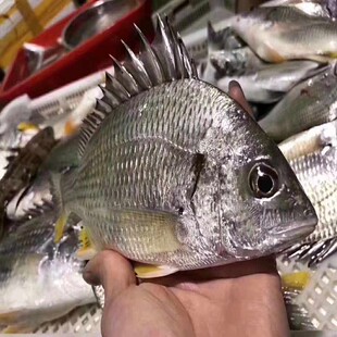 �S���~ �S���~ �S���~ �O���ك� ��С�����S���~������~