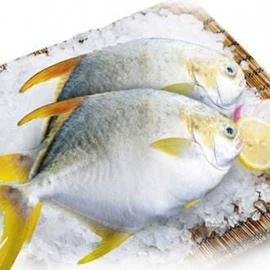 其他水产加工;鱼类;软体类