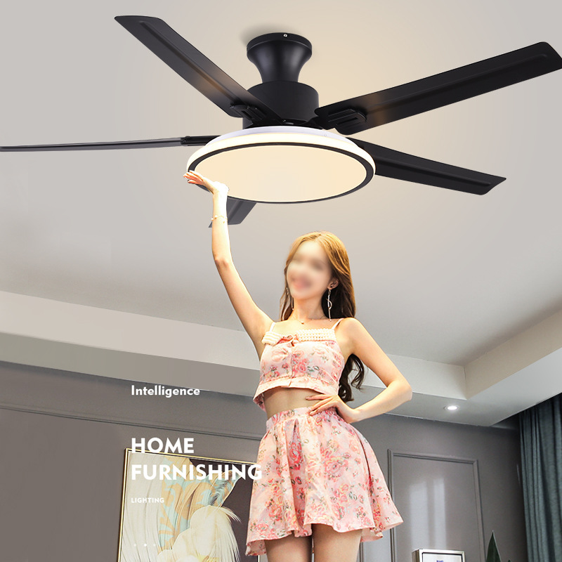 Chuangkang Nordic Fan Lamp Restaurant Ceiling Fan Lamp Living Room Electric Fan Chandelier Home Bedroom with Fan Frequency Conversion Decoration