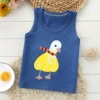 Tibetan blue duck
