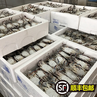 10����S���]!6-9��/ֻ ���r�r���ك����з����������з