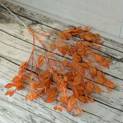 仿真榕樹葉塑料花婚禮酒店造景裝飾玉蘭葉婚慶弔頂插花配材假花