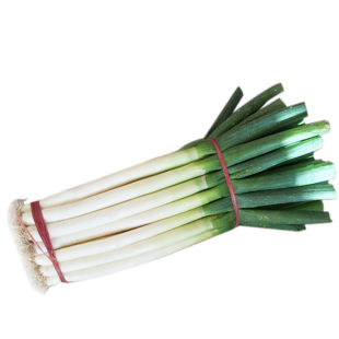 ���]ɽ�|ȥ���[�F�U���[���r�F�ڼ�����[���r���[