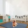 加厚四季尺寸热销宠物垫